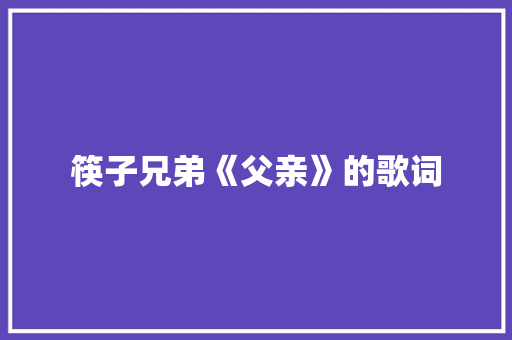 筷子兄弟《父亲》的歌词 写作社区