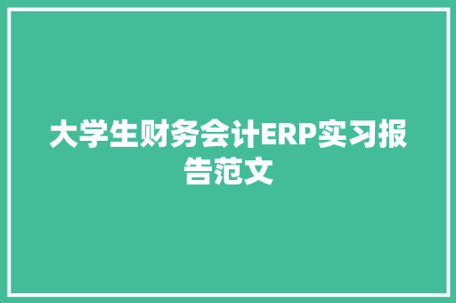 大学生财务会计ERP实习报告范文