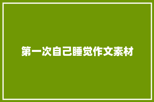 第一次自己睡觉作文素材