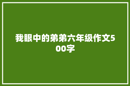 我眼中的弟弟六年级作文500字