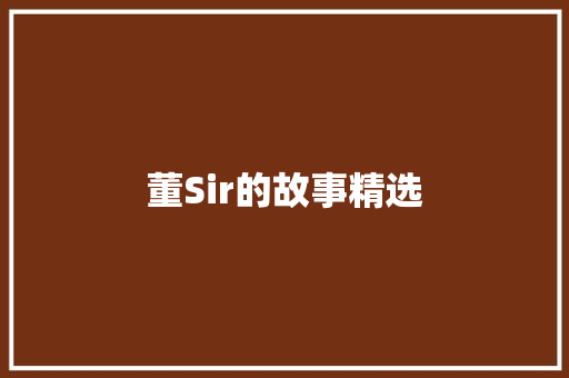 董Sir的故事精选 简历模板