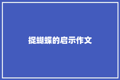 捉蝴蝶的启示作文