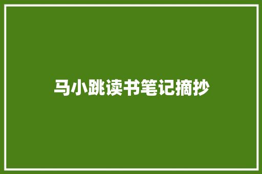 马小跳读书笔记摘抄 范文赏析
