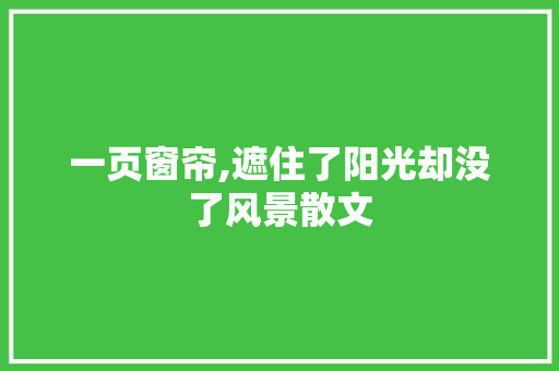 一页窗帘,遮住了阳光却没了风景散文