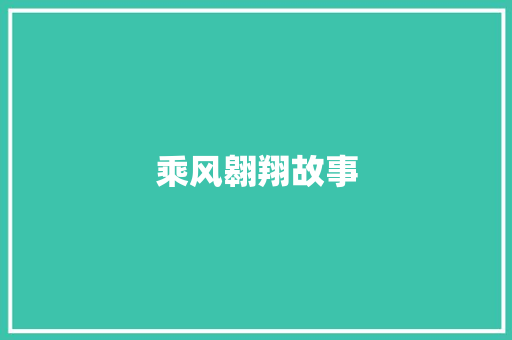 乘风翱翔故事 报告写作