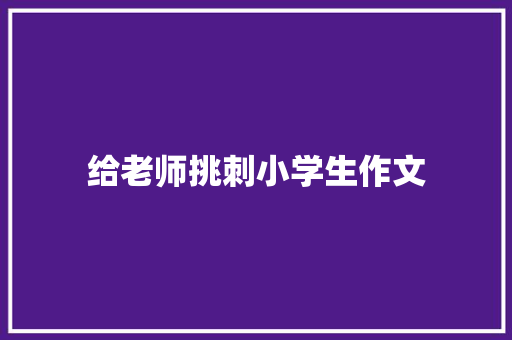 给老师挑刺小学生作文