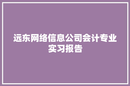 远东网络信息公司会计专业实习报告