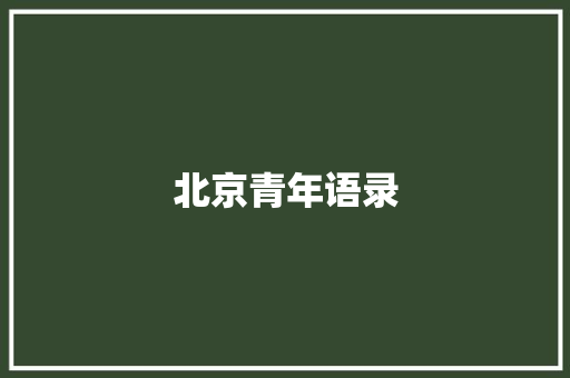 北京青年语录