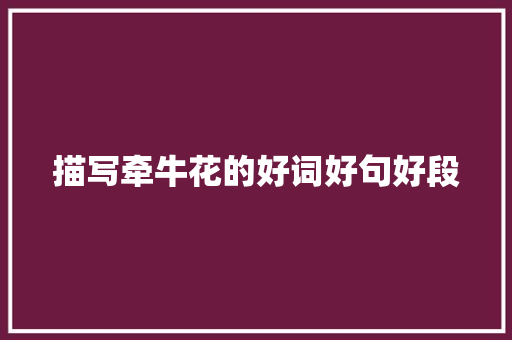 描写牵牛花的好词好句好段