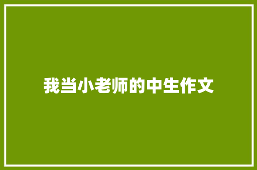我当小老师的中生作文 写作技巧