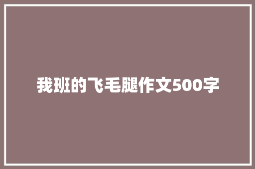 我班的飞毛腿作文500字
