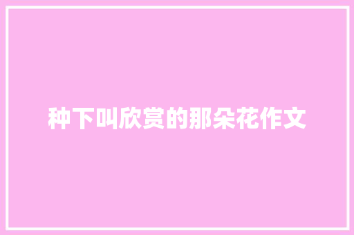 种下叫欣赏的那朵花作文 词汇积累