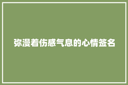 弥漫着伤感气息的心情签名