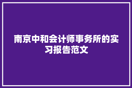 南京中和会计师事务所的实习报告范文 写作素材