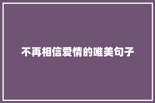 不再相信爱情的唯美句子