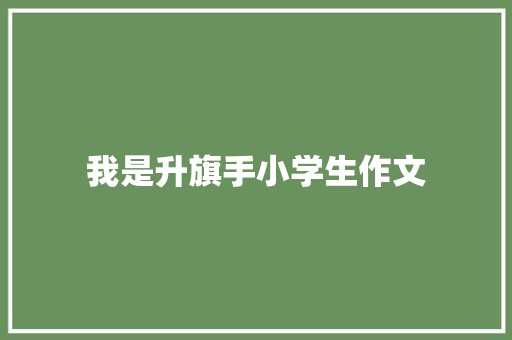 我是升旗手小学生作文 商业文案