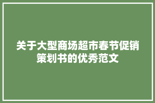 关于大型商场超市春节促销策划书的优秀范文