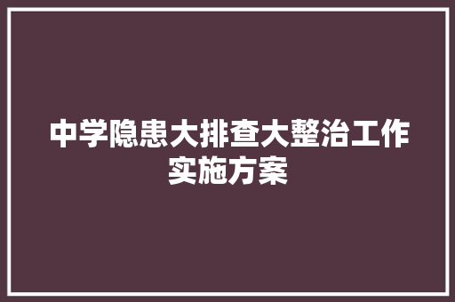 中学隐患大排查大整治工作实施方案 简历模板
