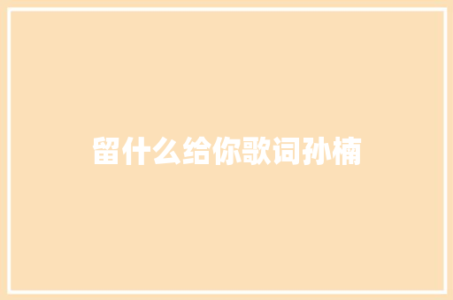 留什么给你歌词孙楠 报告写作