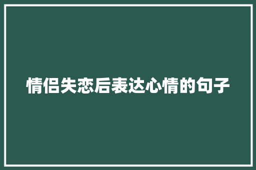 情侣失恋后表达心情的句子