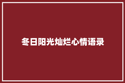 冬日阳光灿烂心情语录