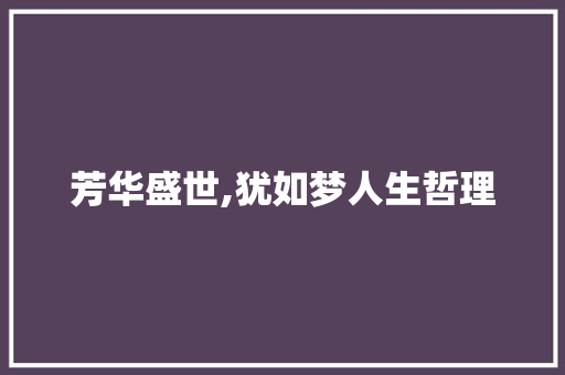 芳华盛世,犹如梦人生哲理