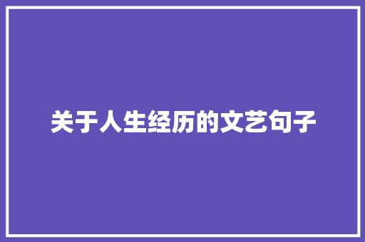 关于人生经历的文艺句子 范文赏析